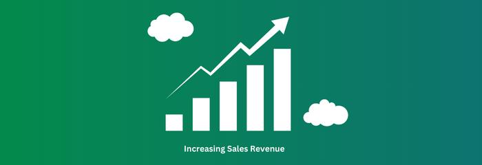 Objectives of Sales Management